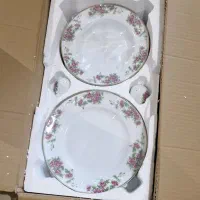 سرویس چینی زرین ایتالیا اف بیدگل آکبند|ظروف سرو و پذیرایی|تهران, جنت‌آباد شمالی|دیوار