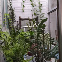 خانه|فروش خانه و ویلا|قائن, |دیوار