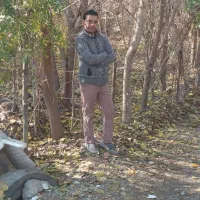 مدارک گم شده