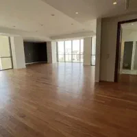 ۲۵۰ متر /عیان نشین چهارباغ بالا / ۴ خواب /تک واحدی