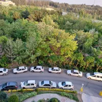 122-متر-فول-دیزاین-ویو-جنگل-سند-تک-برگ