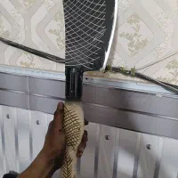 قیمت دونه 700 بزرگ