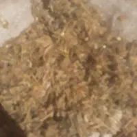 کاه عدس|حیوانات مزرعه|نیر (اردبیل), |دیوار