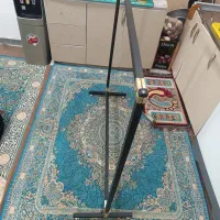 رگال در حد نو
