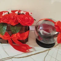 گل باکس گل شاخه گل|گل و گیاه طبیعی|گرگان, |دیوار