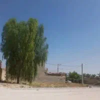 زمین دوبرخیابان تجاری ۳۱۶ متری|فروش مغازه و غرفه|کازرون, |دیوار