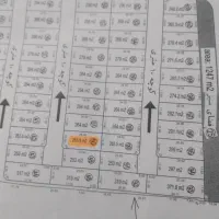 زمین مسکونی در طرح تفکیکی شجاعی