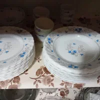 ظروف پذیرای پارس اوپال گل آبی دوازده نفره