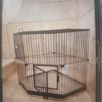 قفس پرنده