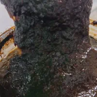 ترشی آلوچه خوشمزه و ترش صدرصد آلوچه و آبدار نیست|خوردنی و آشامیدنی|رشت, پل تالشان|دیوار