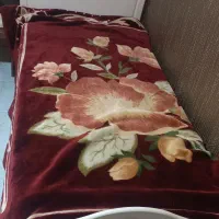 تخت خواب یک نفره وکیوم در حد نو|تخت و سرویس خواب|گنبد کاووس, |دیوار
