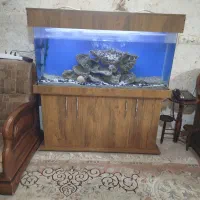 آکواریوم شرکتی اصل