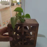 شیشه گل و شلف