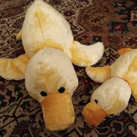 عروسک زیبا ونو