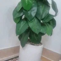 درخچه مصنوعی|گل مصنوعی|قم, نیروگاه|دیوار