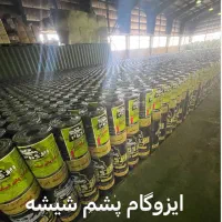 ایزوگام و قیر گونی  ( اقساطی)|خدمات پیشه و مهارت|رفسنجان, |دیوار