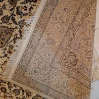 فرش ۶ متری|فرش|رشت, دیانتی|دیوار