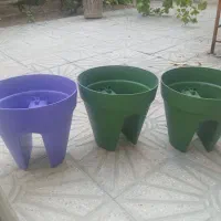 گلدان