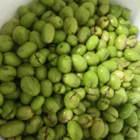 روغن زیتون