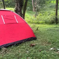 چادر 8 نفره قرمز ژاپنی پنجره دار ضد باد وباران|کوهنوردی و کمپینگ|رشت, گلسار|دیوار