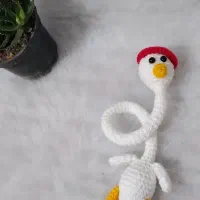 عروسک های گردن دراز