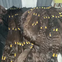 خریدار موی طبیعی شما بالای ۵۵ سانت پرداخت نقدی