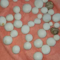 سنگ اسیاب قیمتی|جواهرات|بروجرد, |دیوار