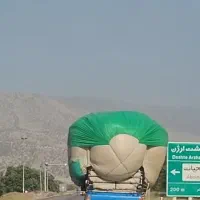 کاه گندم