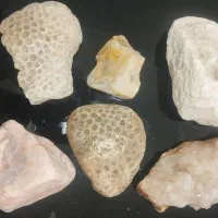 سنگ های عقیق عصلی ، ،کوارتز ،سیترین،صف دو کفه ای