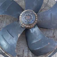 فن دور بالا