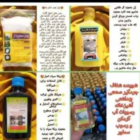 شارژ کلی محصول با قیمت استثنایی