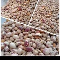 ویزیتور و بازاریاب حضوری و تلفنی و حسابدار