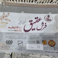 قالی فروشی|فرش|مریوان, |دیوار