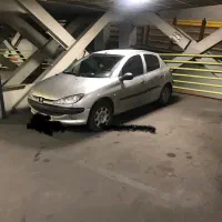 ۲۰۶ تیپ ۲ سالم