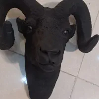 دکوری|مجسمه، تندیس، ماکت|کرمانشاه, |دیوار