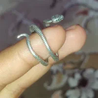 نقره و بدلیجات