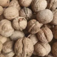 پوست کن گردو سبز