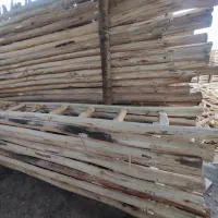 فروش انواع نردبان چوبی و درب چوبی|عمدهفروشی|مشکیندشت, |دیوار