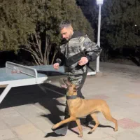 مربی سگ|خدمات آموزشی|اصفهان, جلفا|دیوار