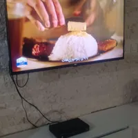 تلوزیون