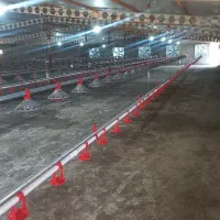 اجرا و مونتاژ کامل سیستم های مرغداری|خدمات پیشه و مهارت|کاشمر, |دیوار