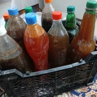 آبغوره  پارسال|خوردنی و آشامیدنی|نورآباد ممسنی, |دیوار