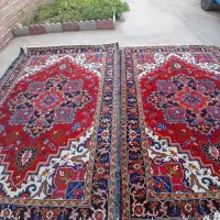 فرش هریس ۶ متری نو