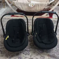 کریر دلیجان|کالسکه و لوازم جانبی|فردیس, نگارستان|دیوار