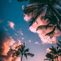 راهنمایی و مشورت ورزشی