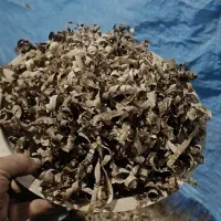 پوشال و خاک اره