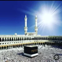 دوعدد فیش حج تمتع (واجب)۸۶