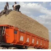 خوراک دام  کاه نیشکر|لوازم جانبی حیوانات|بندرعباس, |دیوار