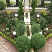 خدمات باغبانی باغچه کاری درختکاری نعویص خاک گلدان