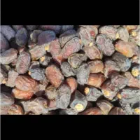درجه یک خرمای بریم